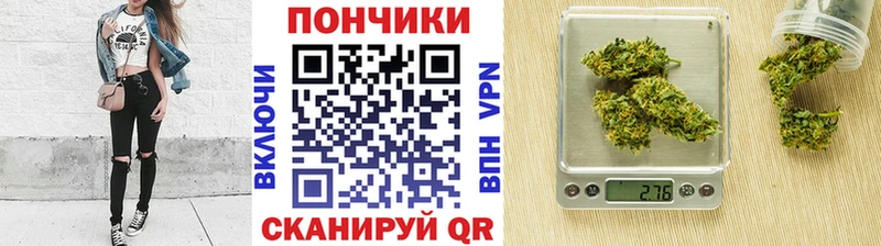 как найти наркотики  Королёв  Бошки марихуана Bruce Banner 